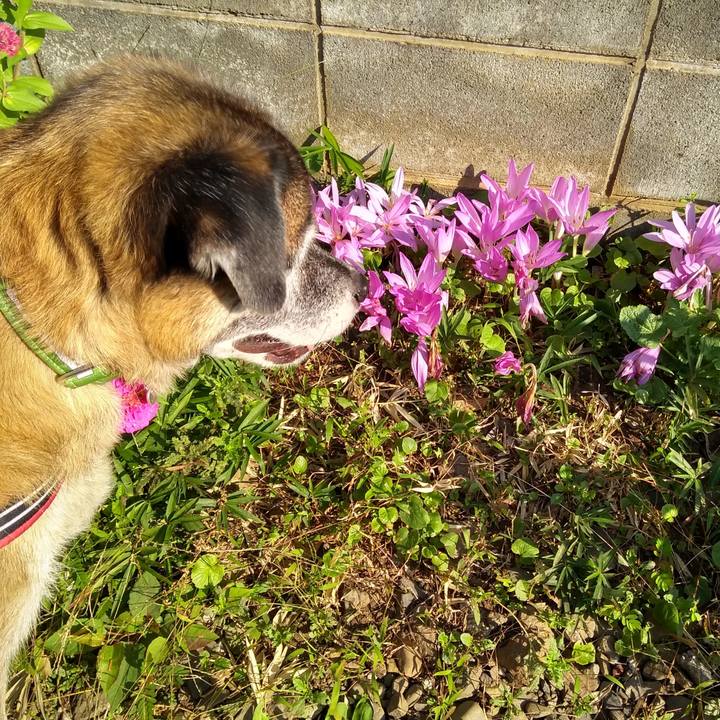 8ed88f7d 0cfc 497c bb43 54f9adab3342 1569543059198