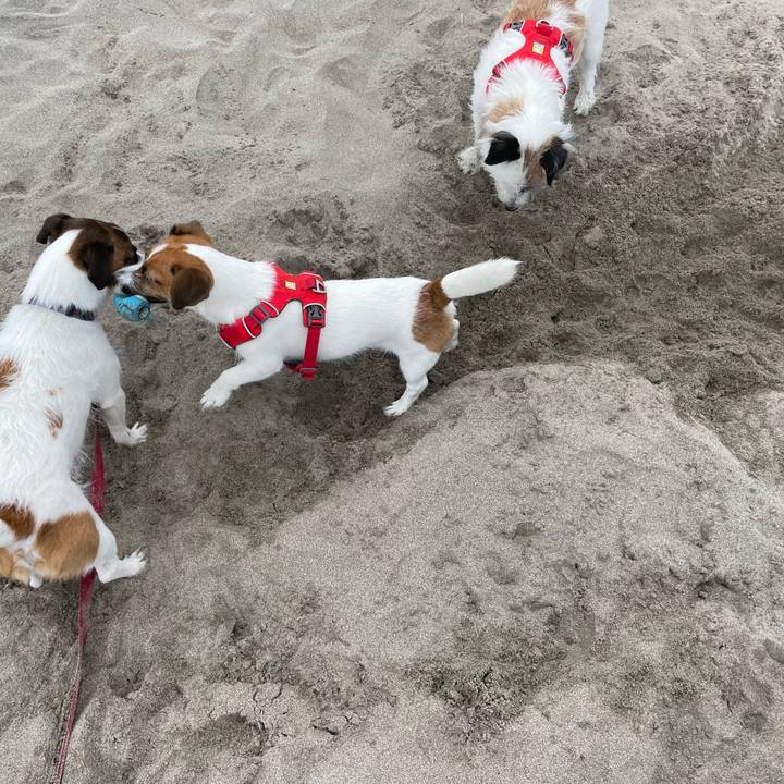 8ed8c97f 653a 4a70 89ed 364104fe0abc 1655943017713