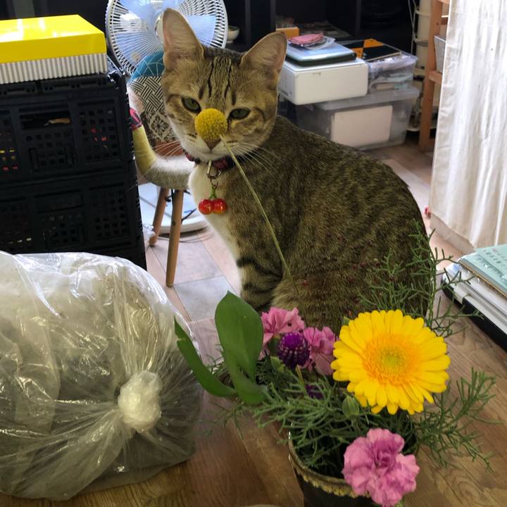 8ed8cdd1 5675 4186 b67f 19d9992b532d 1605767327416