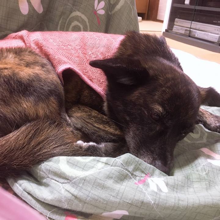 8ed8d730 f893 4456 8ab4 943476902325 1558442450404