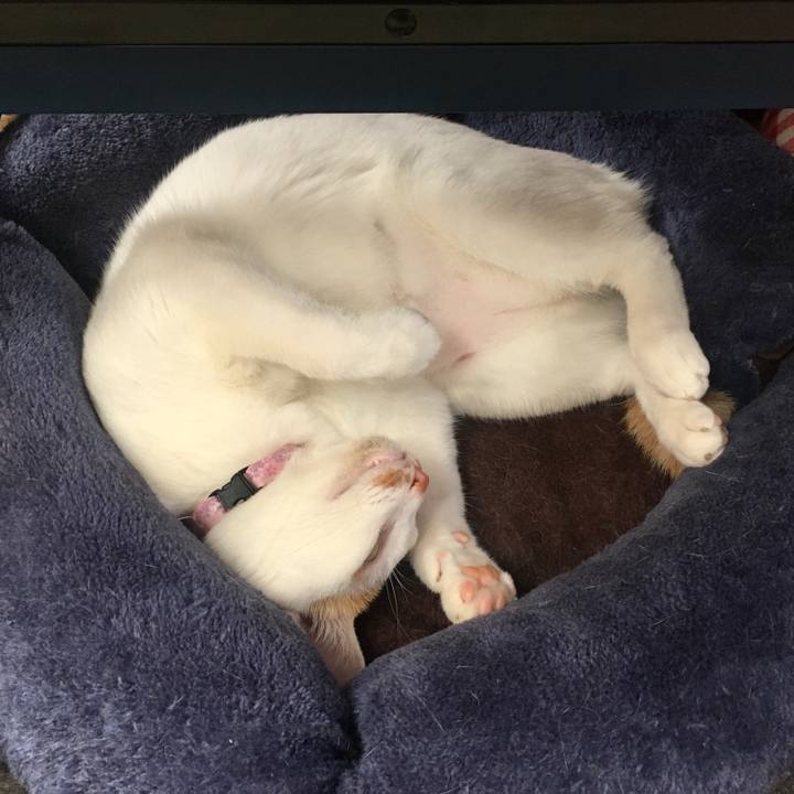 8ed97a45 7cb5 444e 8aa2 60f553724a1f 1535792955979