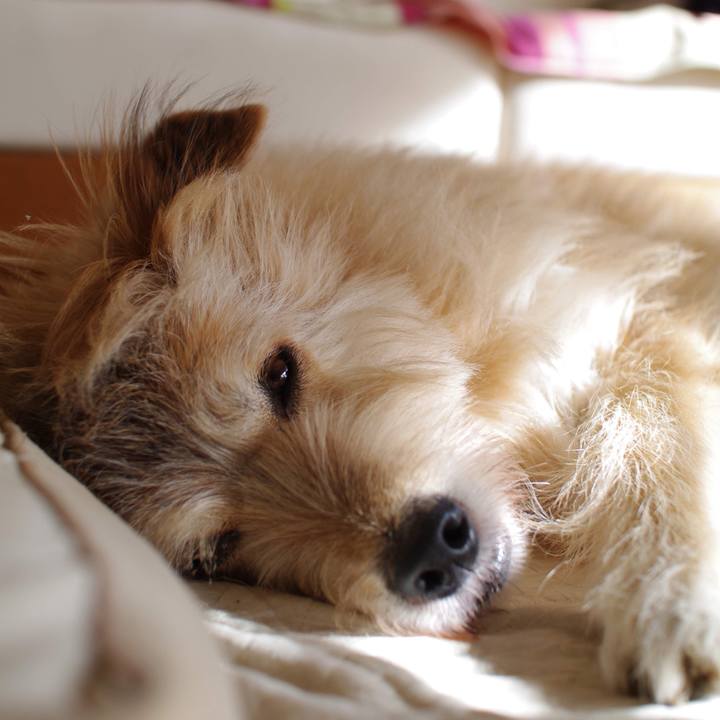 8ed97b07 9a31 41fc 8b8d 71ed30e0eb27 1545313650295