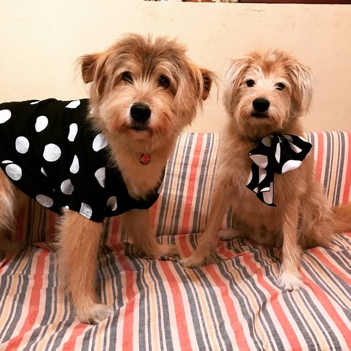 8ed9ba78 356e 45bd bed9 50fa1d9bdea6 1572356618069