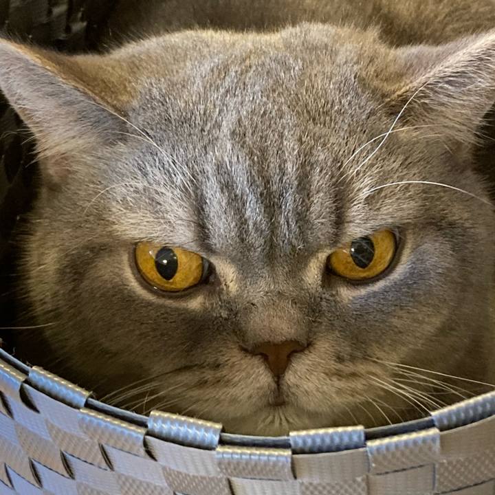 8ed9c61b 0357 4bb3 b1da 2509c8f2f263 1765420550211