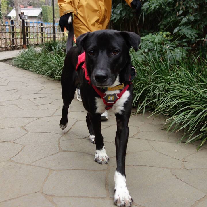 8eda4797 833f 43e1 bd23 cba79c3a4f22 1583544053330