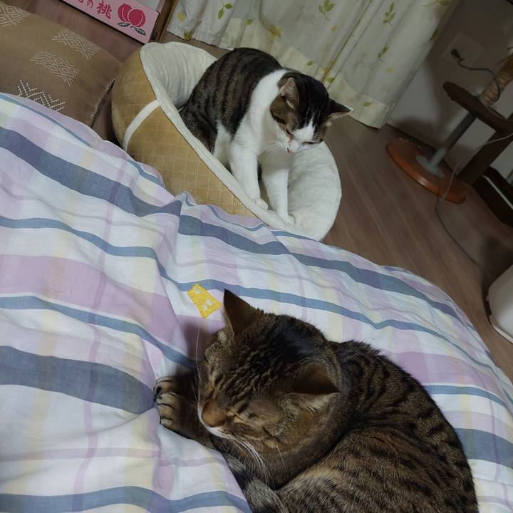 8eda5f0e 9506 448a 97a6 37fe52e394a5 1674818057825