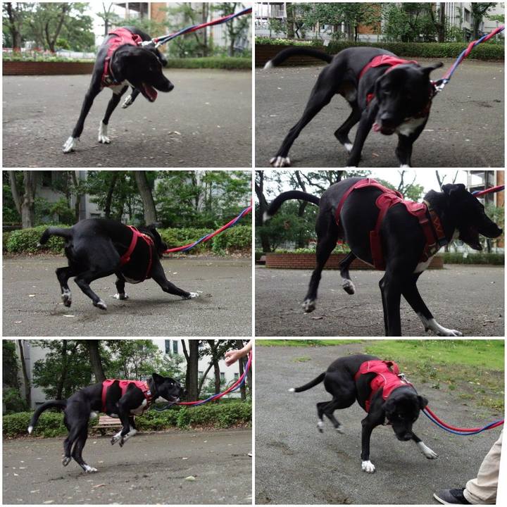 8edaa359 50ab 400c 8a9f 954ff1c32d8a 1593597452554