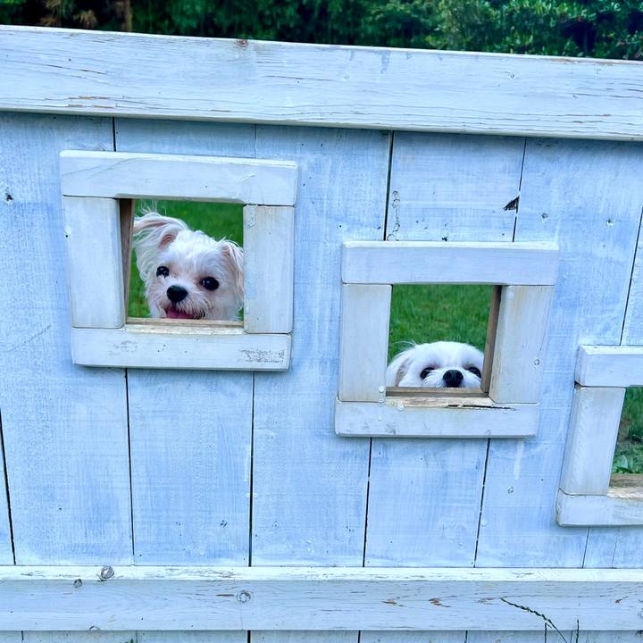 8edae2e7 102b 42e4 bd34 f2b818ff1dff 1659925139656