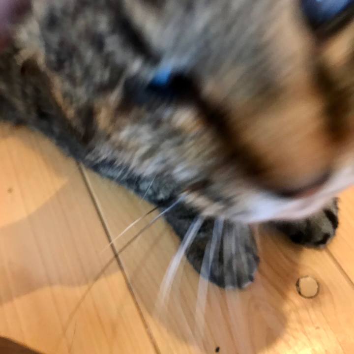 8edb4300 48de 4221 99e6 3f6cefa7385b 1578362155784