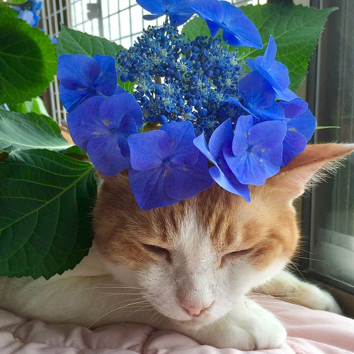 8edbbd9a 52d9 427c b6bc 5aa74bde0eac 1593835539065