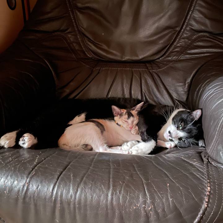 8edbca7e e07b 420e a3da e7778c3d5d92 1658576802472