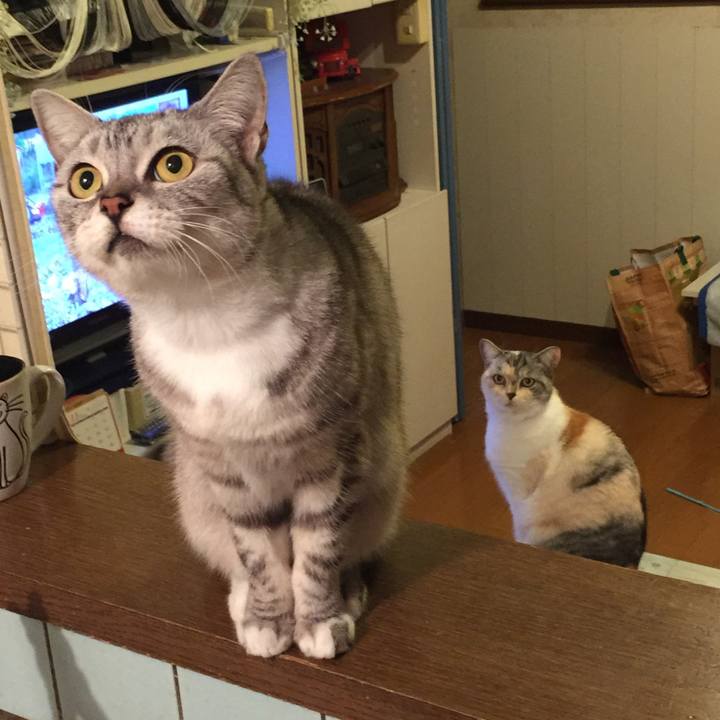 8edbd2e0 13b4 4f72 a9c5 d3d5d0e0757d 1575199848444