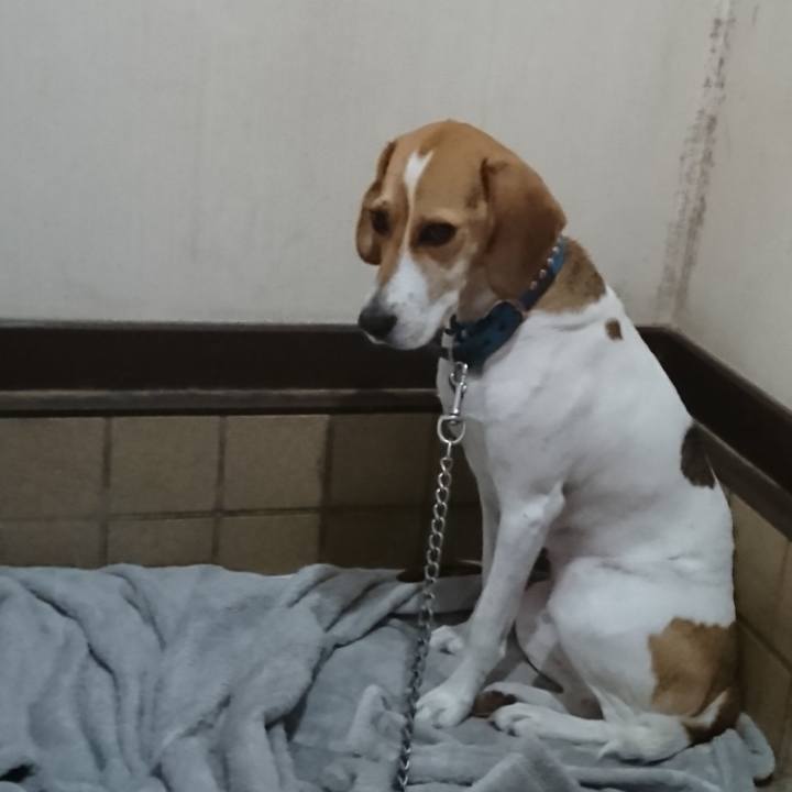 8edbf5ce 055c 48af 8265 dedae2b4ce22 1570502304409