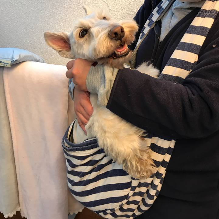 8edc2452 6114 4473 8f4f 7e9166c9aded 1548335615522