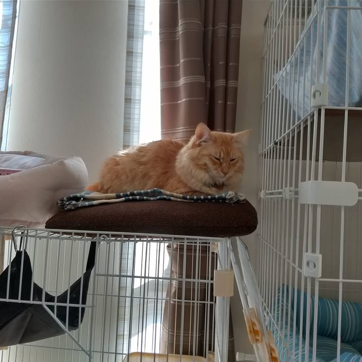 8edc5357 66b6 4684 9932 a10b973f37a4 1638677387805