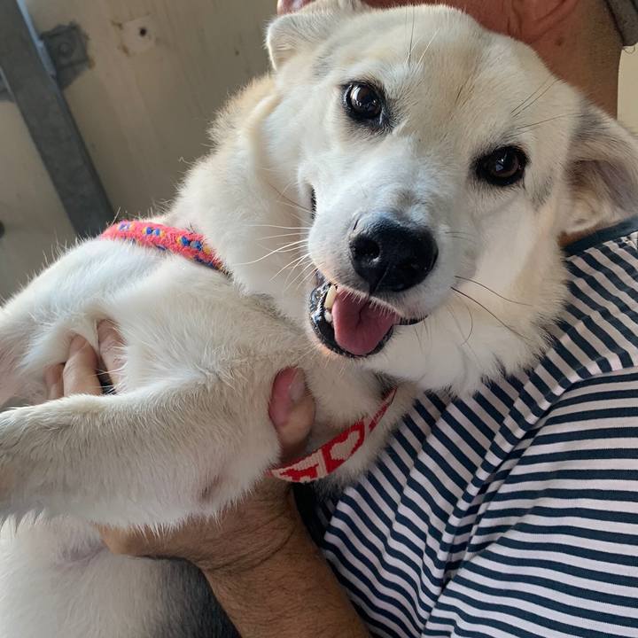 8edc5ab8 685a 4a98 828f 538b815aad5b 1596357364109