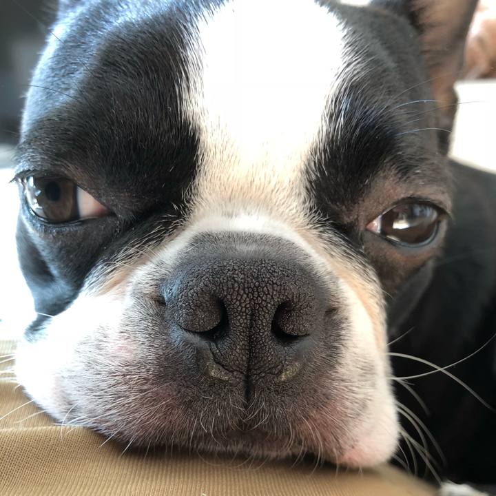 8edc6328 2cd3 4512 be52 562dde2836b0 1524352461555