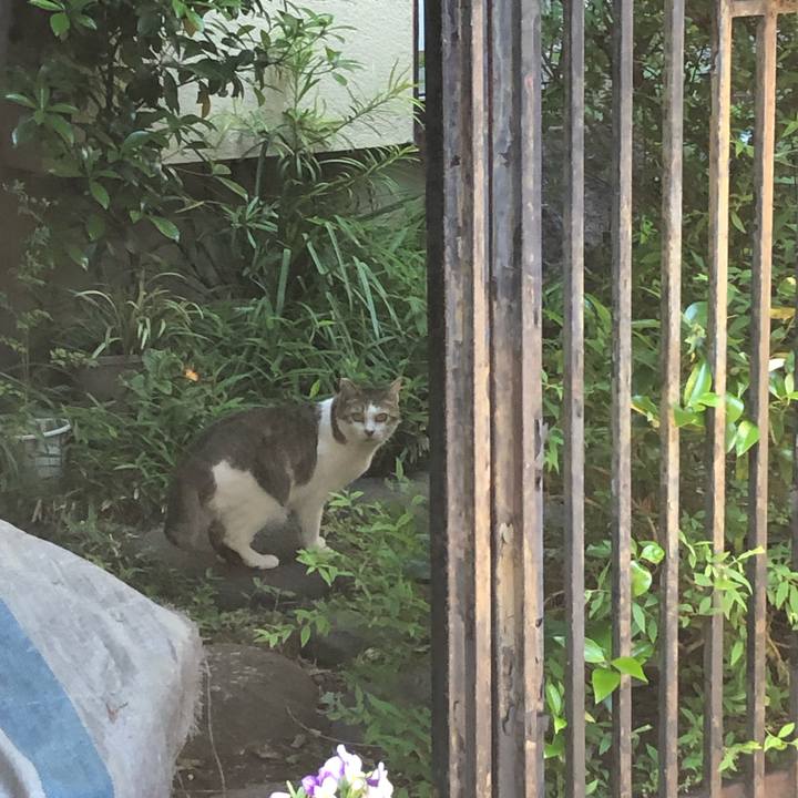 8edc895e 267a 4b87 86c8 87a775261d9f 1652697597669