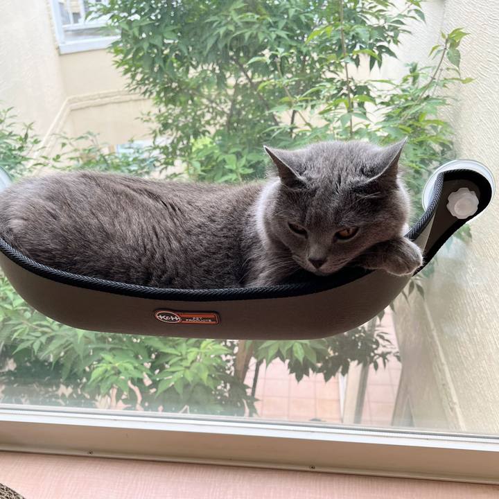 8edc9318 4b76 41ee 993d 25a8ff2fe1cf 1658220410887