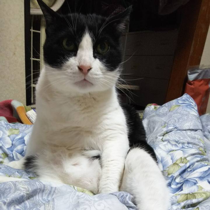 8edcce9d db56 4428 bb5d 9d08f9193bf0 1552389287792