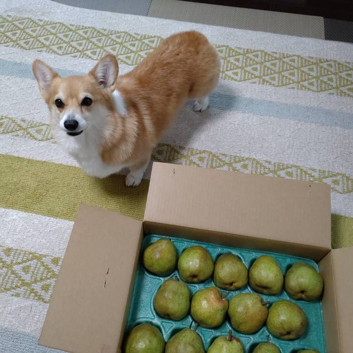 8edce2b5 b85d 4bb8 b963 2f260208d3bd 1668646107918