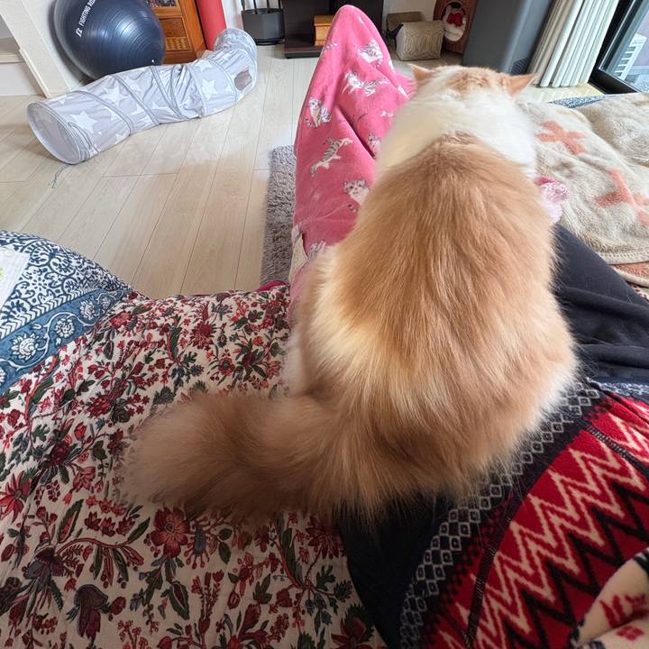 8edd0a9b 6da0 432c 91a5 1d33c65befb2 1766816051494