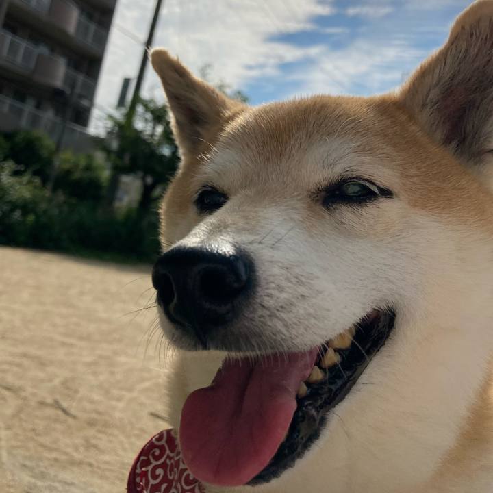 8edd0f07 601f 464a 9170 107e6abe4c02 1624288727229