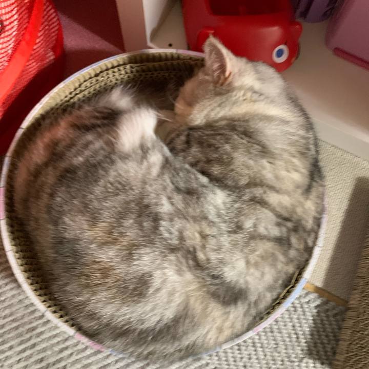 8edd3955 950a 4533 9830 653e244550a1 1708337356805