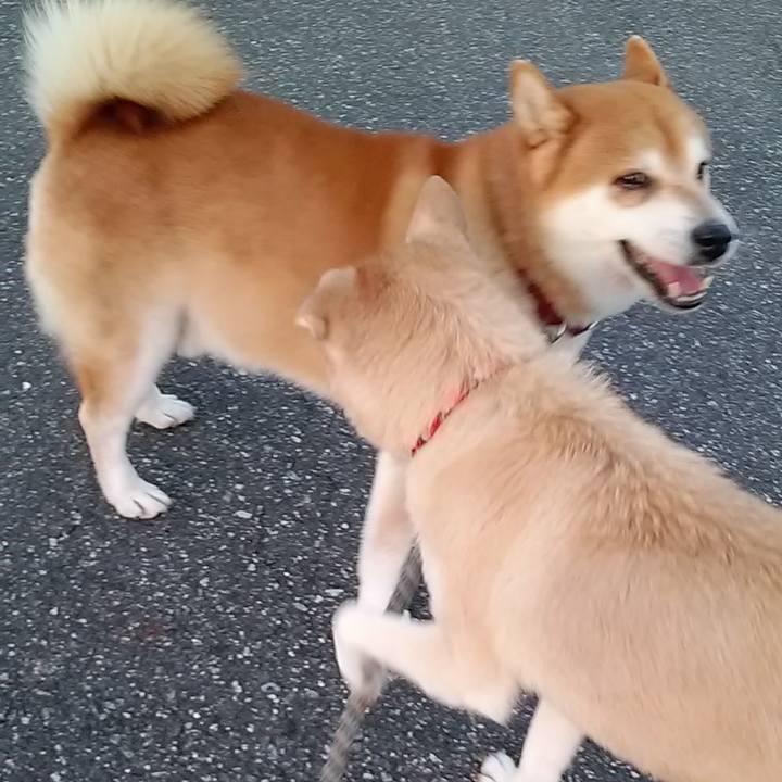 8edd762a 8653 4ac3 bf03 b540ea39a97f 1633474476372