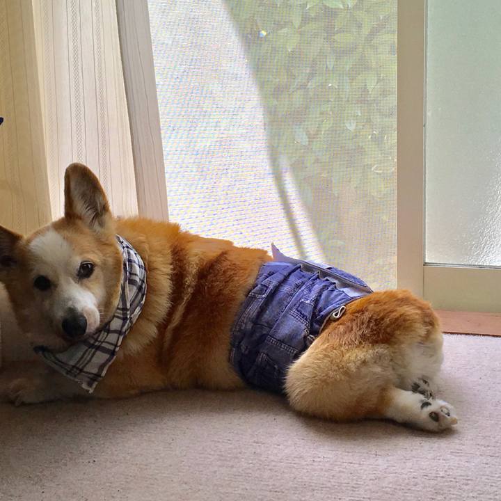 8edd88e1 2188 4fc6 aec1 1ea0d197fec6 1558229012141