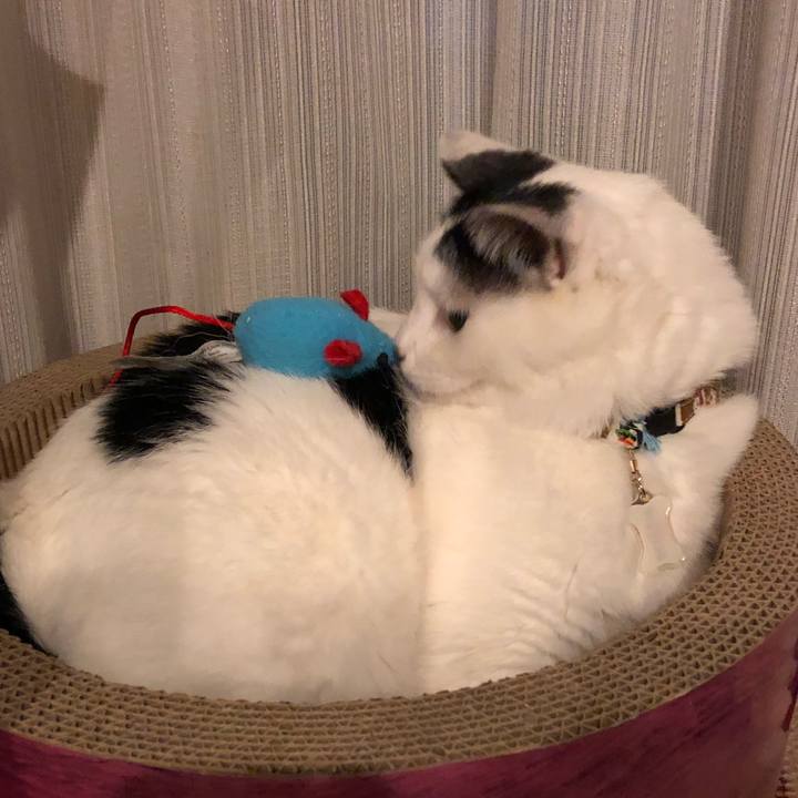 8edd927c 9568 4ffb 8b56 ef49e8efca0e 1540913516687