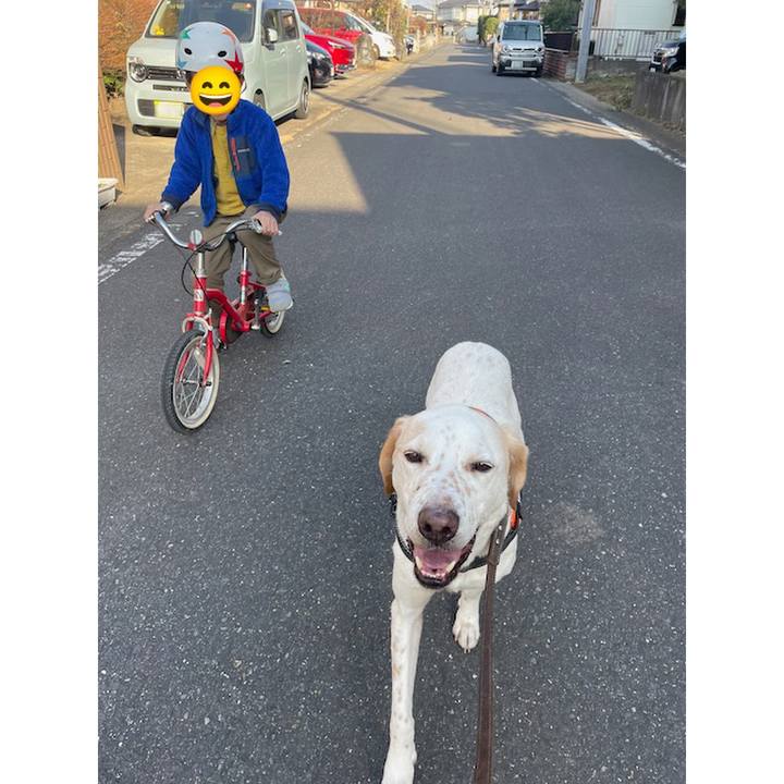 8eddaf62 30f9 4c6b b4f7 0d8ec46bd654 1768782492520