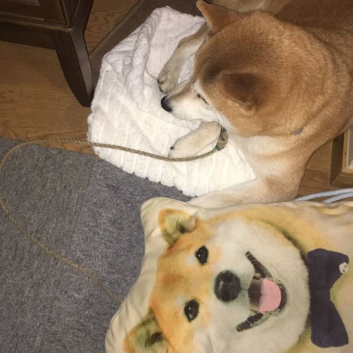 8eddc54e 1991 4272 8090 995e97938880 1567591848094