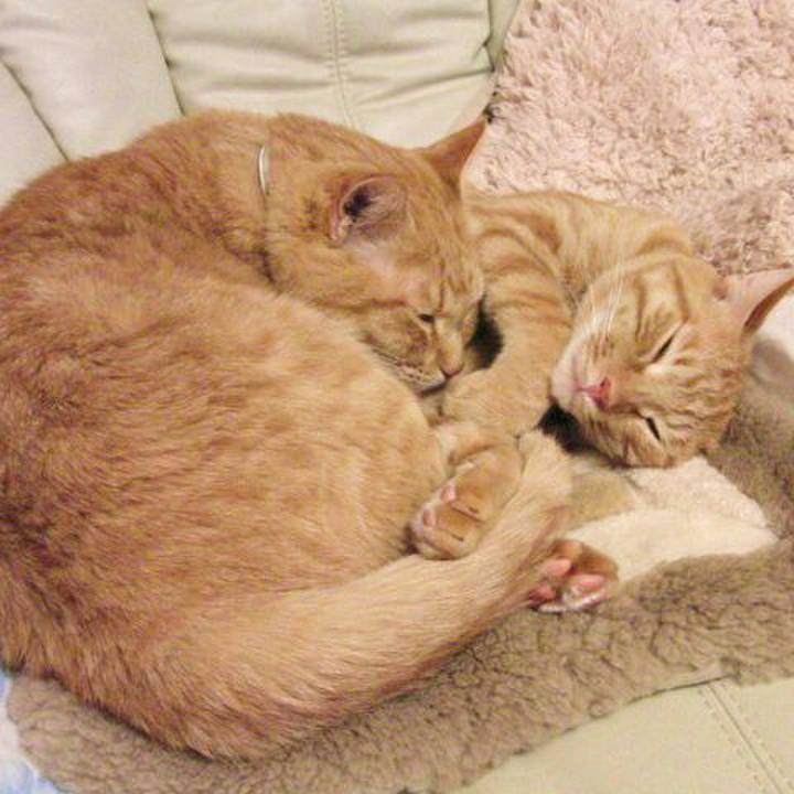 8eddd6f0 8d45 41ab 8074 45cdb95f5c5b 1509935241352