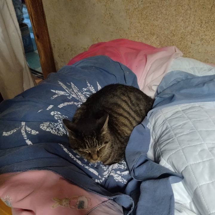 8edde264 9913 4720 9b86 621be718534e 1762035987042