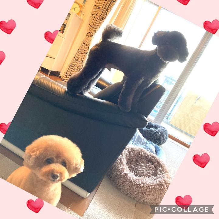 8eddeae3 fbea 4c2b 95bd 527d848fad8a 1691933600860