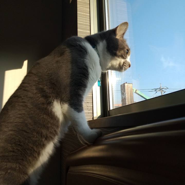 8ede4093 60ac 4293 8190 8cfb6acc6459 1627078513753