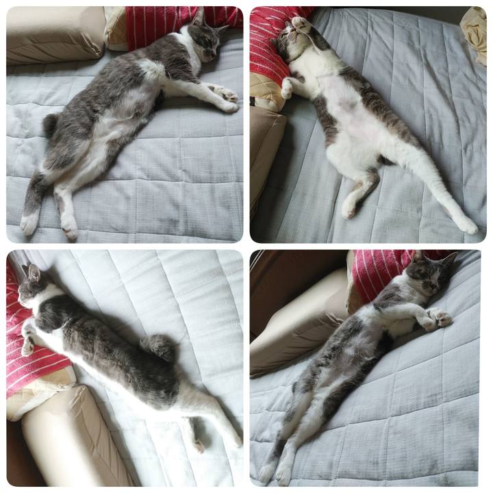 8ede6d65 c1bc 404b 9756 0cca876971c2 1589238836545