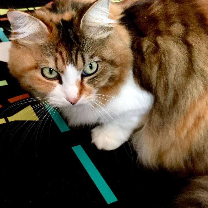 8edeb00c 1cbc 4acc a3a3 37ad38b04c91 1577172559210