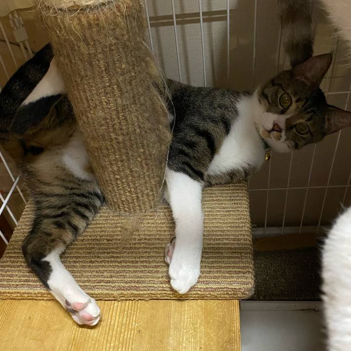 8edebd4d 8444 486c a100 3609339bb95f 1651830002848