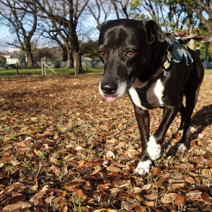 8edee75a 749a 4cab ae54 a40434b3386f 1732582509497