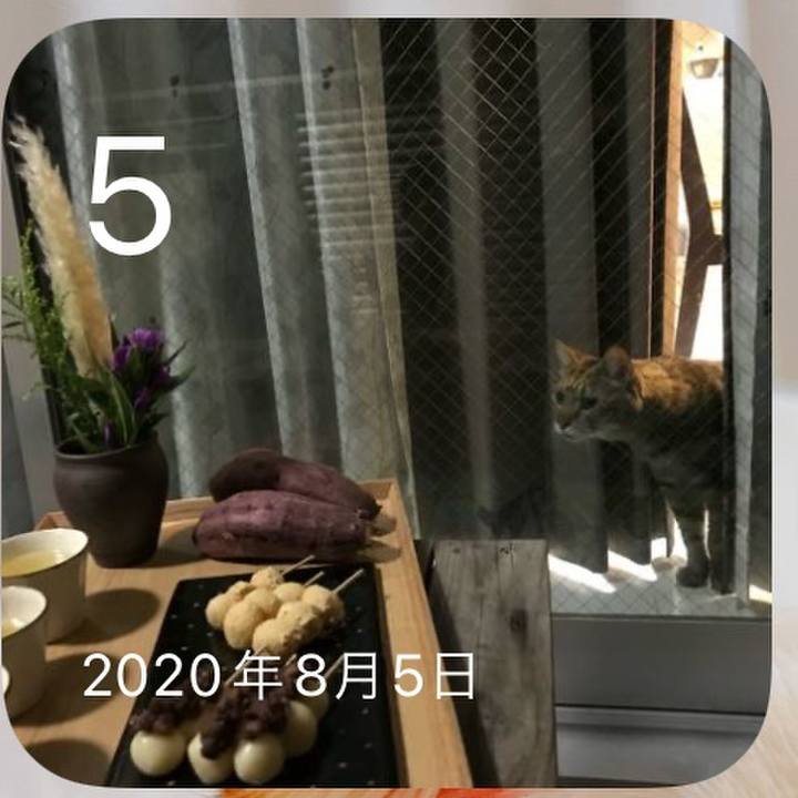 8edef9be f90c 4f89 877e 783eb1b74a4a 1659683354324