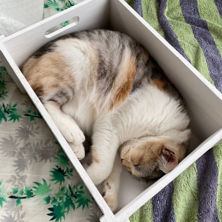 8edefb57 474b 43a8 8beb ce4b038ad03f 1619177222099