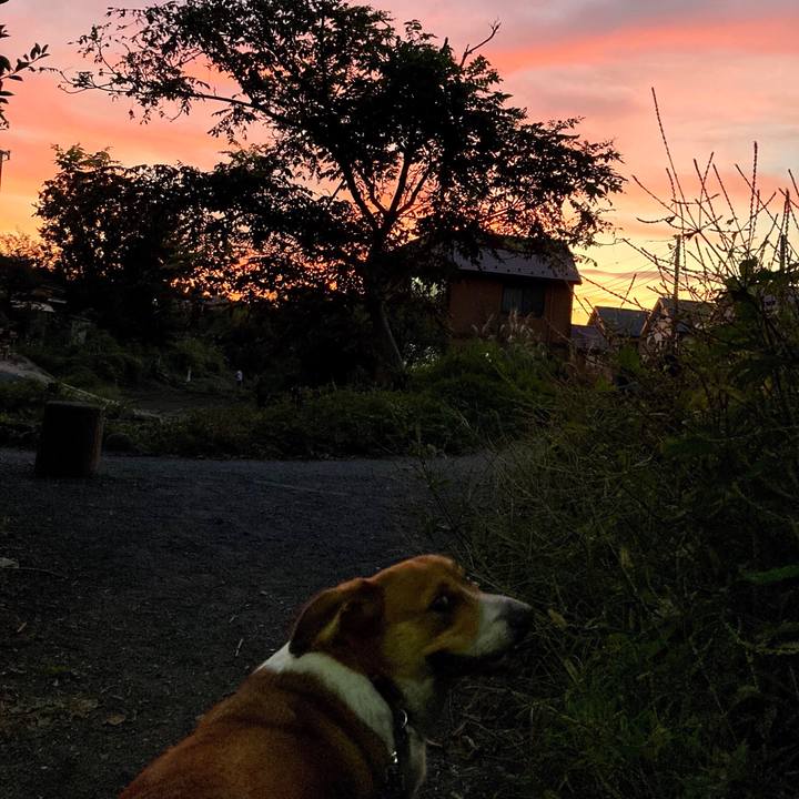 8edeff31 04cb 4fd6 ab88 ddd3cae62da7 1633836316570