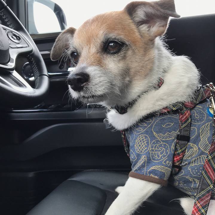 8edf0a3f e4d5 4747 8e7c cd54092cddad 1621499757003