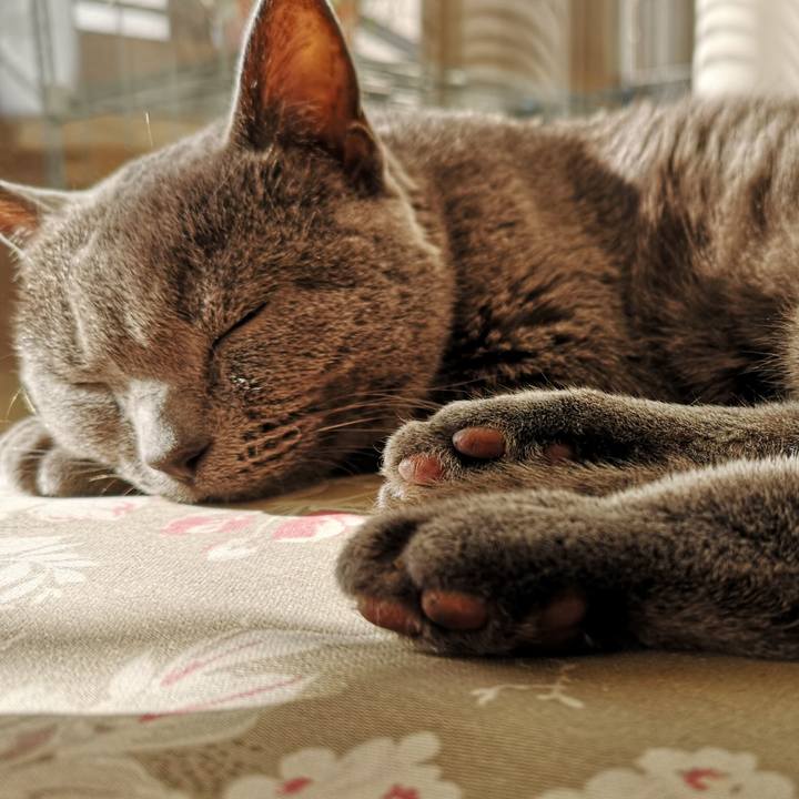 8edf0da7 66b5 4ee6 acfe 4be8571f964e 1607213488187