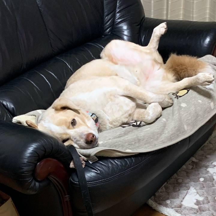 8edf32bd 2117 45e5 b6c4 d1b410b82ffa 1548947132630