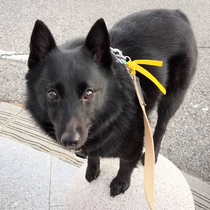 8edf393b fbe8 4e0d 8afa 8881d06efc38 1696282205158