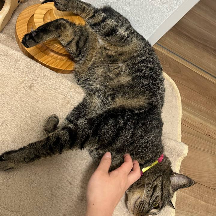 8edf6a49 5786 4e14 90ae fa6fc01fd947 1772854926596