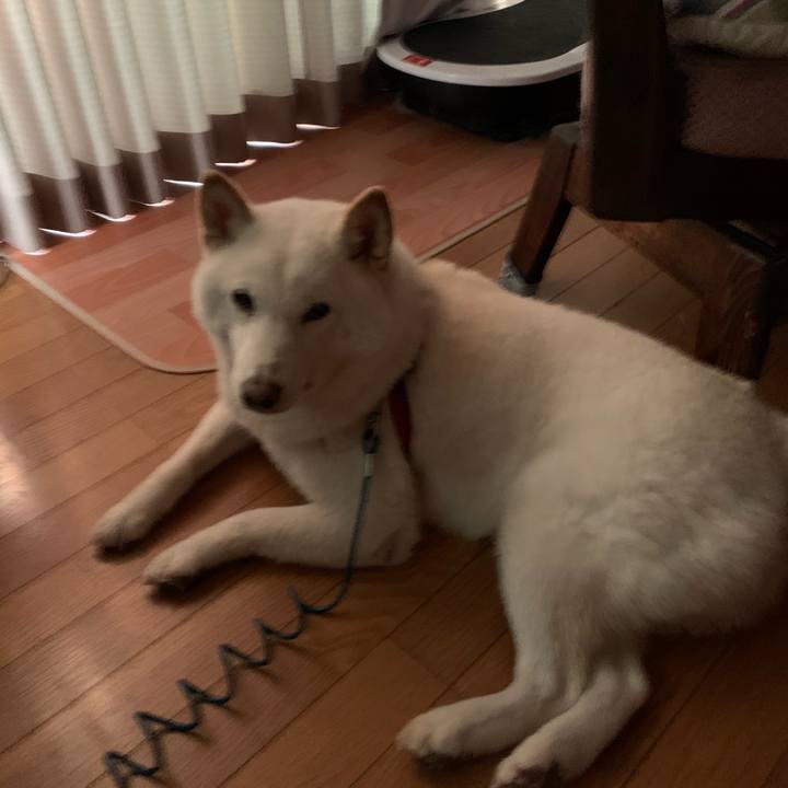 8edf904c 5565 4d1b a25a 8afb49cfd065 1599689737642